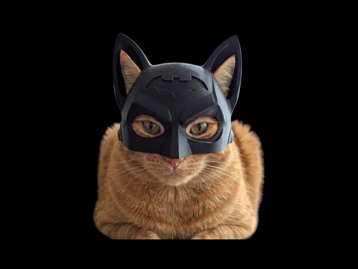 Bat Cat